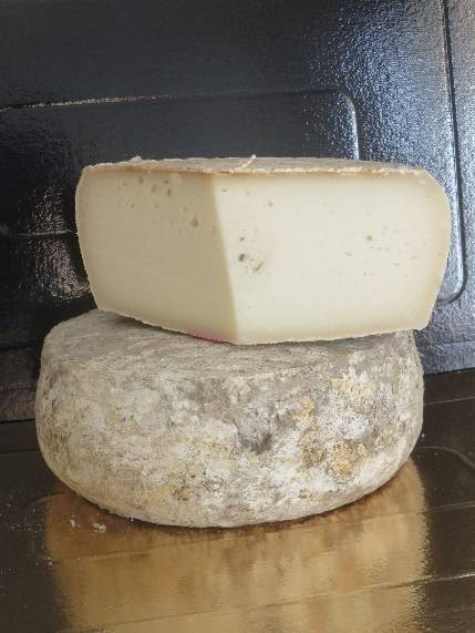 FT Tomme de chèvre