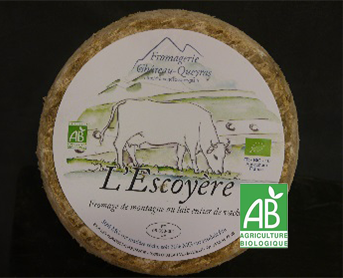 FT Escoyère