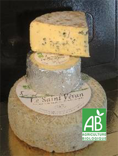 FT Bleu de Saint-Véran