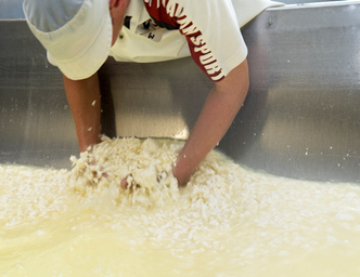 producteur de fromages près de Guillestre