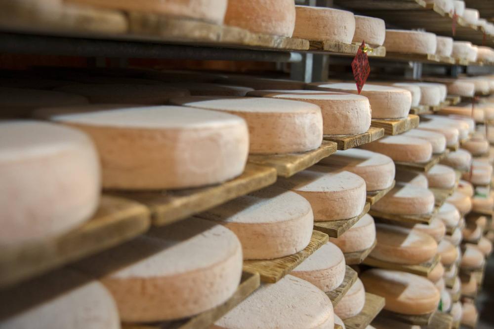 affinage du fromage