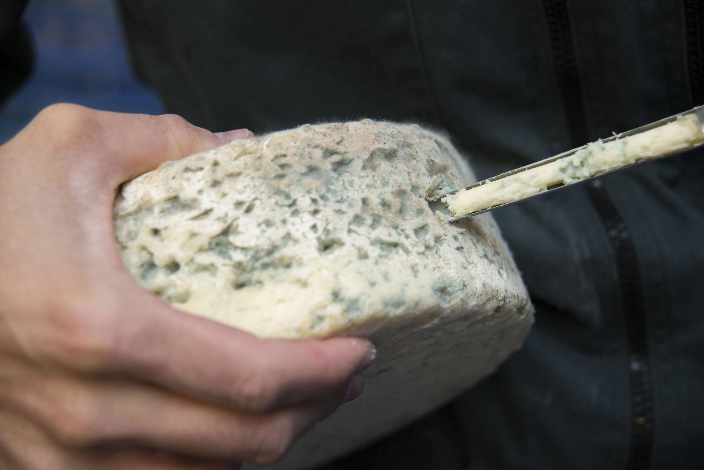 vérification de l'affinage du bleu